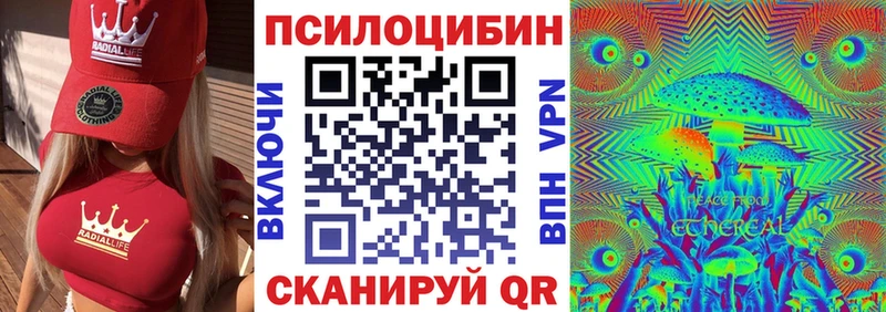 Псилоцибиновые грибы Psilocybe  закладки  Пенза 
